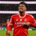 Última hora: Marcos Leonardo afastado do plantel principal do Benfica