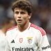 Última hora: João Neves será o novo jogador do Manchester City confirma Fabrizio Romano