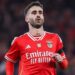 Última hora: Rafa vai deixar Benfica a custo zero