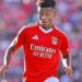 Última hora: David Neres está prestes a deixar o Benfica