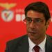 Rui costa revela quando Schmidt vai ser despedido do Benfica