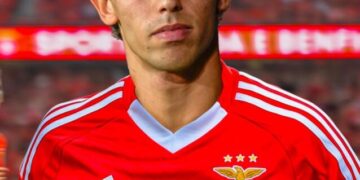 Espanhóis revelam o plano de João Félix com o Benfica envolvido